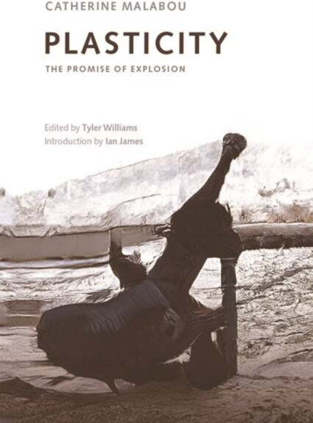 Plasticity av Catherine Malabou