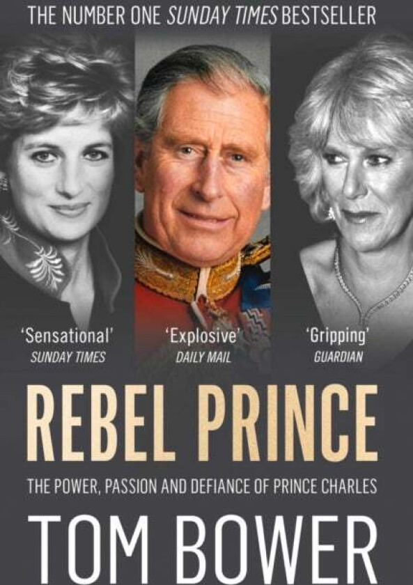 Rebel King av Tom Bower