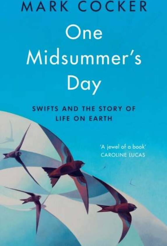 One Midsummer's Day av Mark Cocker