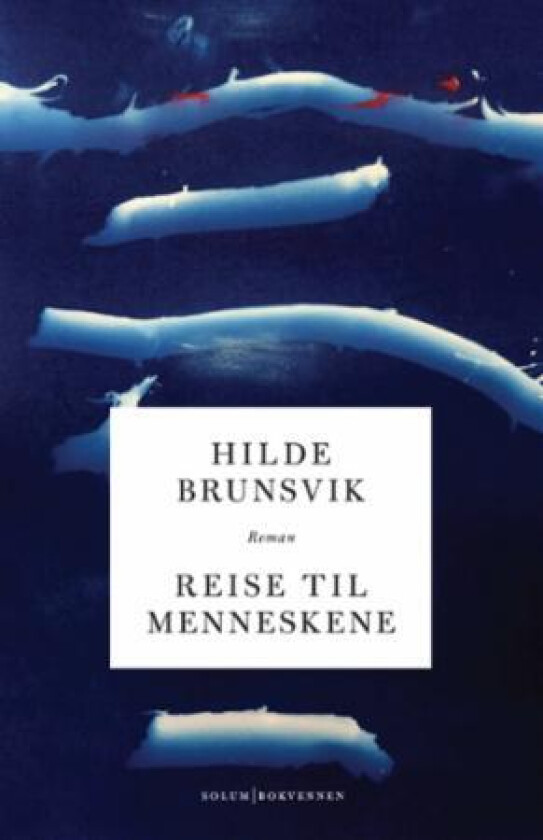 Reise til menneskene av Hilde Brunsvik