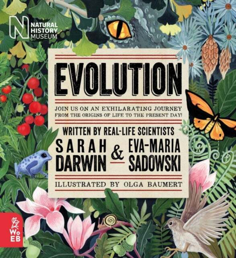 Evolution av Sarah Darwin, Eva Maria Sadowski