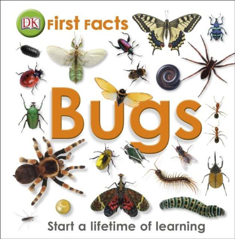 First Facts Bugs av DK