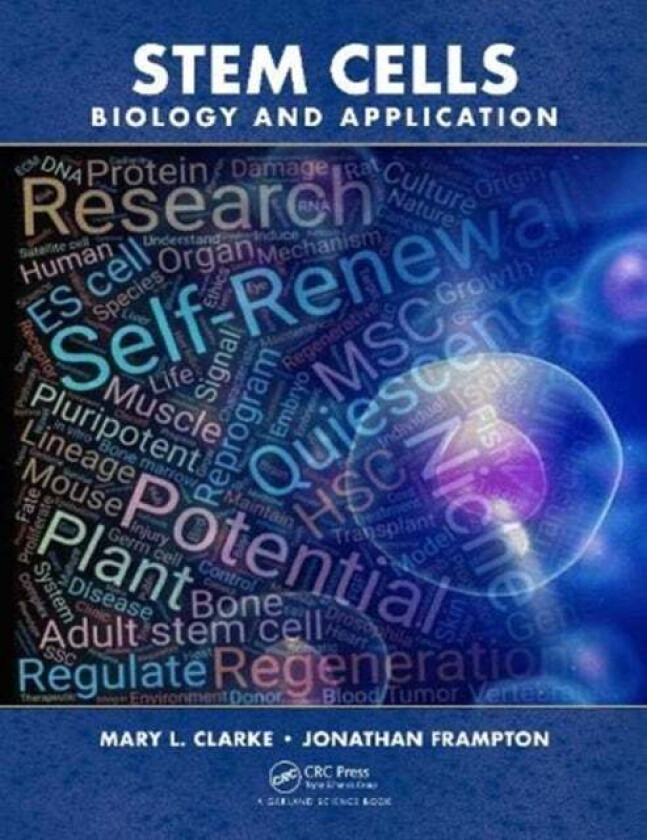 Stem Cells av Mary Clarke, Jonathan Frampton