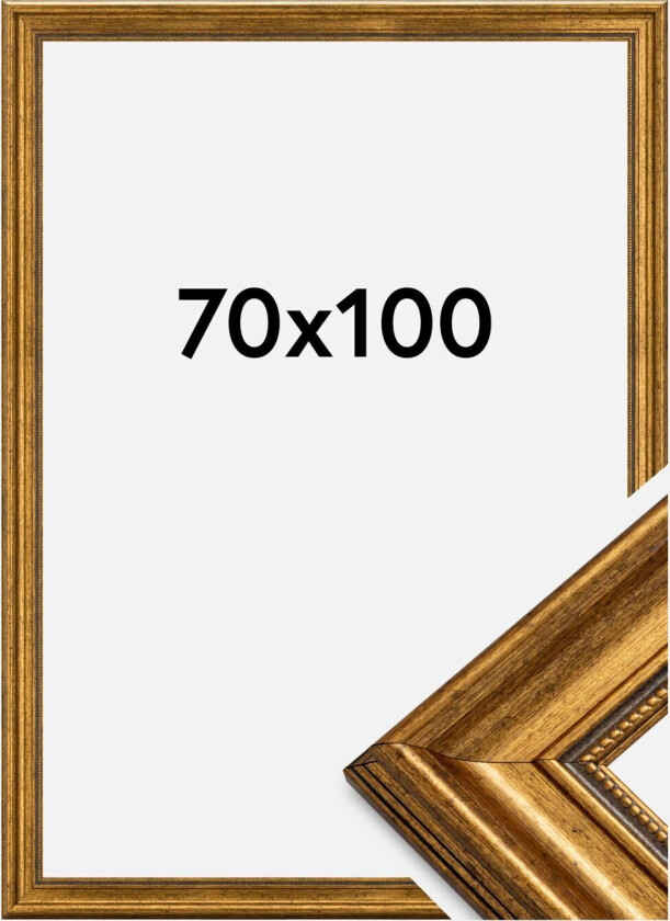 Ramme Rokoko Gull 70x100 Cm