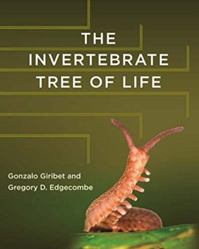 The Invertebrate Tree of Life av Gonzalo Giribet, Gregory D. Edgecombe