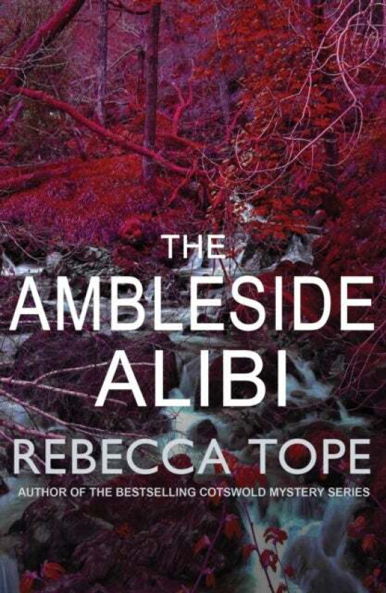 The Ambleside Alibi av Rebecca (Author) Tope