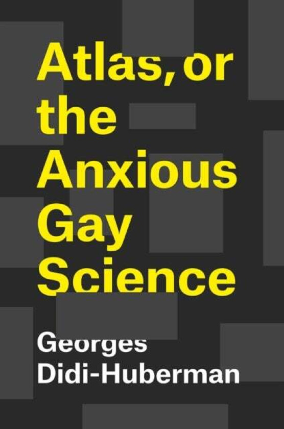 Atlas, or the Anxious Gay Science av Georges Didi-Huberman, Shane B. Lillis