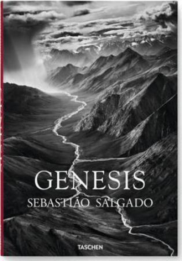 Sebastiao Salgado. Genesis av Lelia Wanick Salgado
