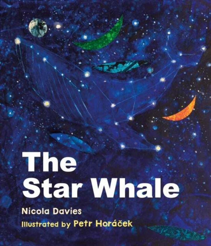 The Star Whale av Nicola Davies