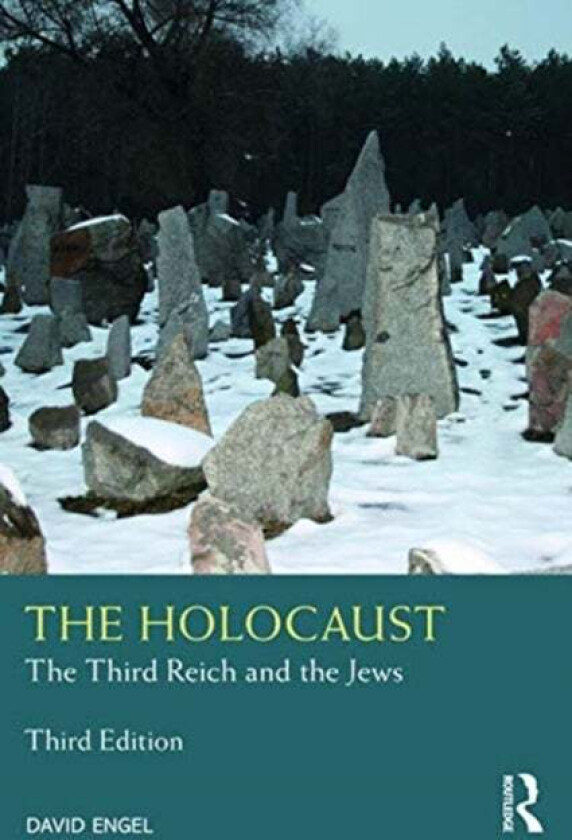 The Holocaust av David (New York University USA) Engel