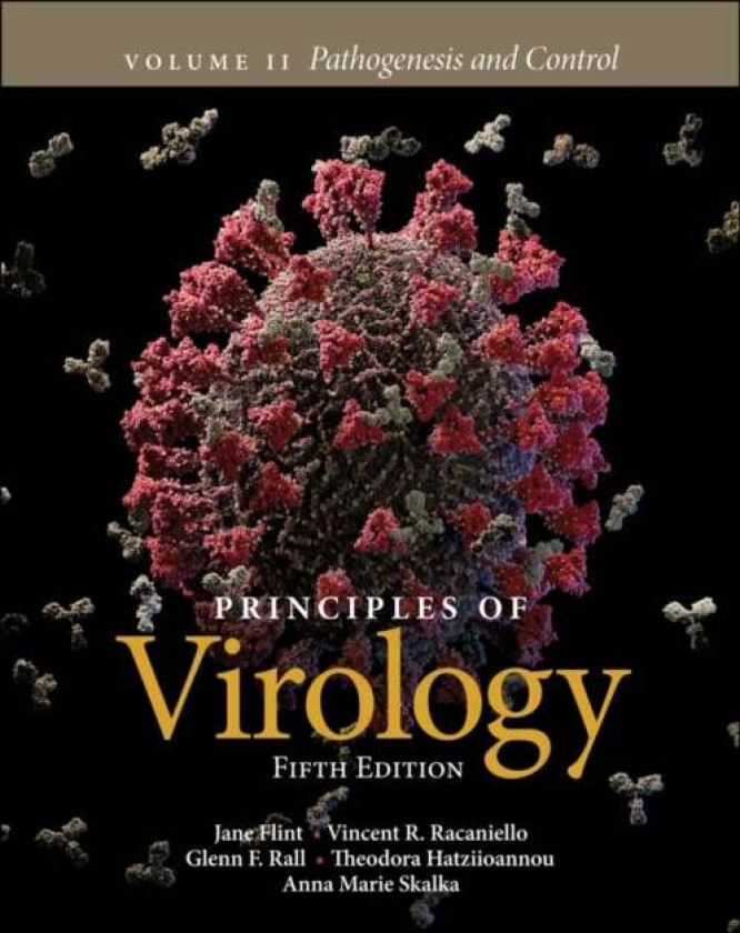 Principles of Virology, Volume 2 av S. Jane (Princeton University USA) Flint, Vincent R. (Columbia University) Racaniello, Glenn F. Rall, Theodora Hat