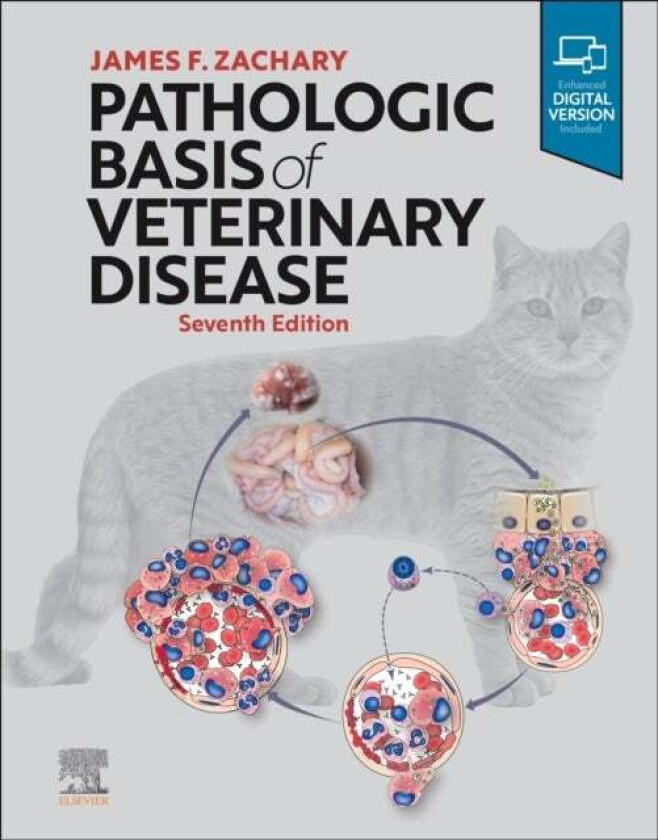 Pathologic Basis of Veterinary Disease av James F. DVM PhD (Diplomate American Colllege of Veterinary Pathologists Zachary, Department of Pathobiology