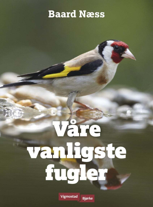 Våre vanligste fugler av Baard Næss