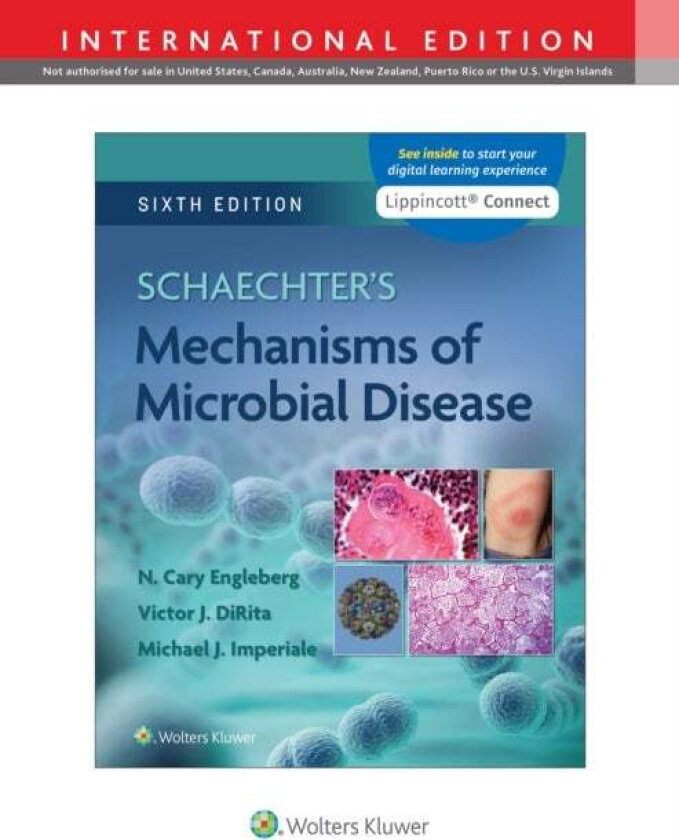 Schaechter's Mechanisms of Microbial Disease av N. Cary Engleberg, Michael Ph.D Imperiale, Victor DiRita