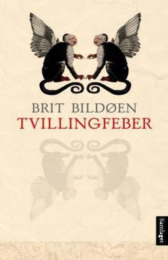 Tvillingfeber av Brit Bildøen