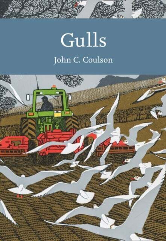 Gulls av Professor John C. Coulson