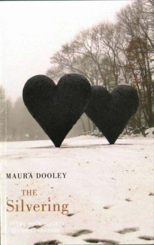 The Silvering av Maura Dooley