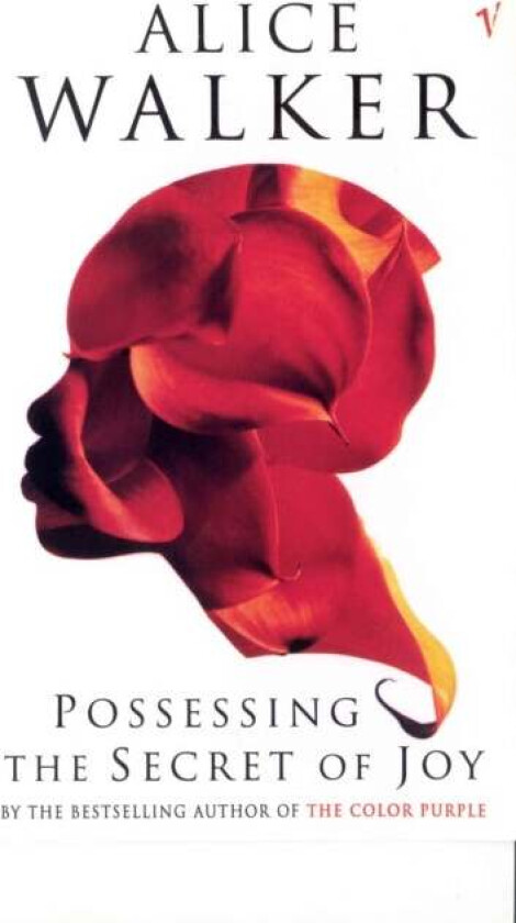 Possessing The Secret Of Joy av Alice Walker