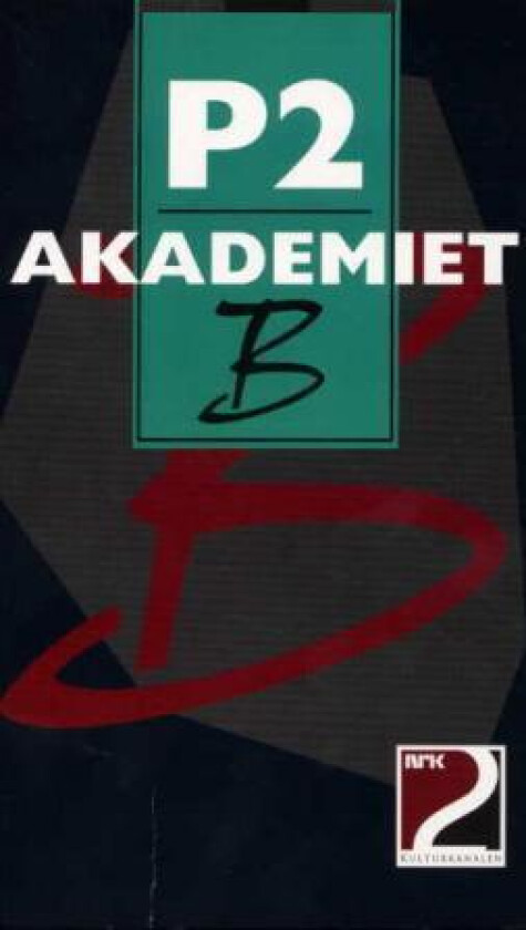 P2-Akademiet B