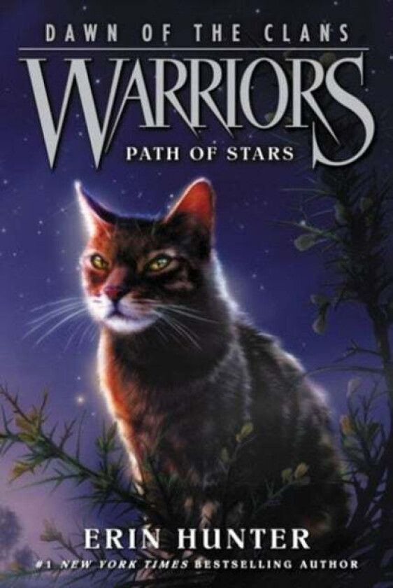 Warriors: Dawn of the Clans #6: Path of Stars av Erin Hunter