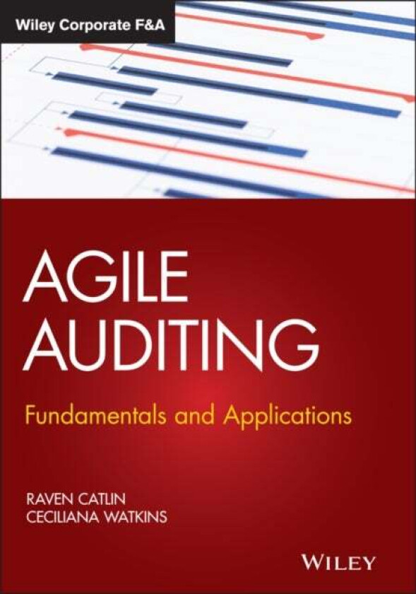 Agile Auditing av Raven (Institute of Internal Auditors) Catlin, Ceciliana (Boston University) Watkins