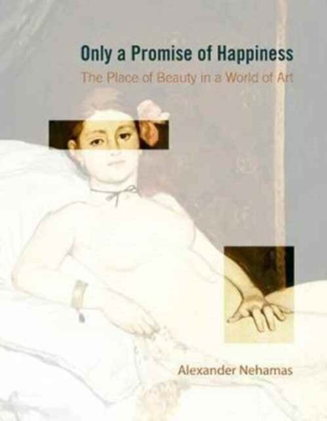 Only a Promise of Happiness av Alexander Nehamas