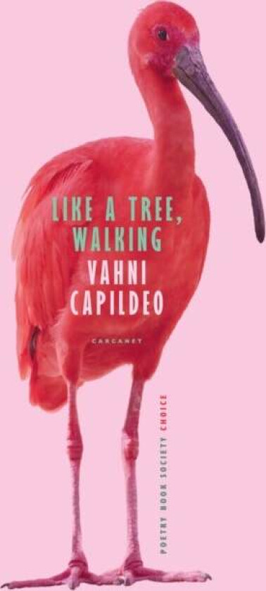 Like a Tree, Walking av Vahni Capildeo