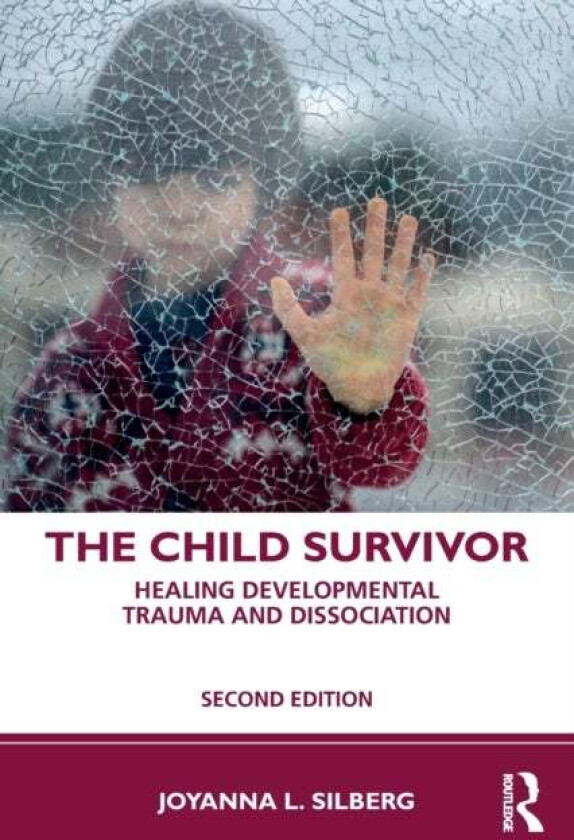 The Child Survivor av Joyanna L. Silberg