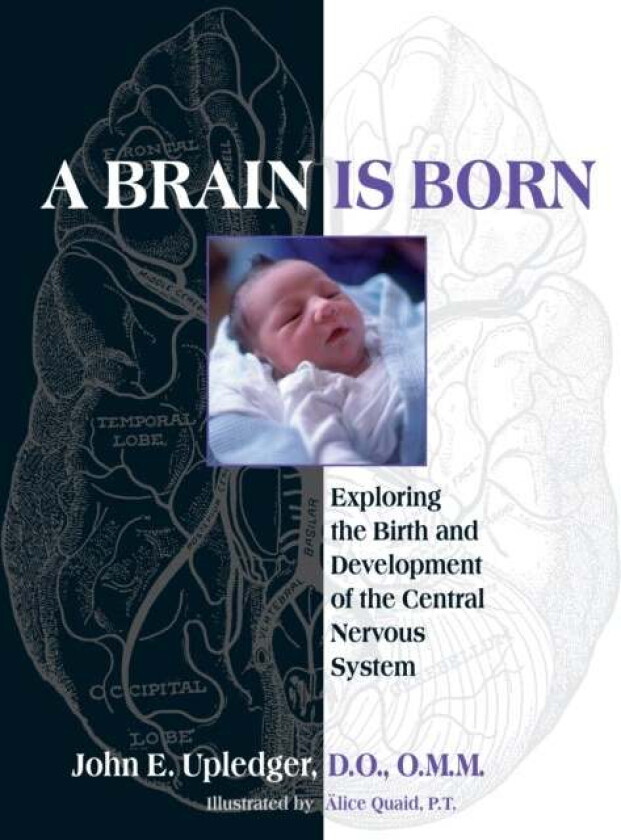 A Brain Is Born av John E. Upledger