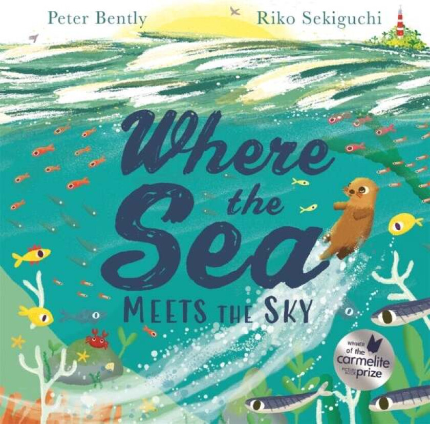 Where the Sea Meets the Sky av Peter Bently