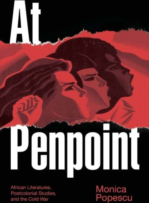 At Penpoint av Monica Popescu