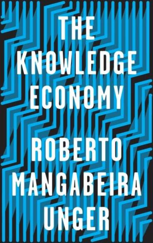 The Knowledge Economy av Roberto Mangabeira Unger