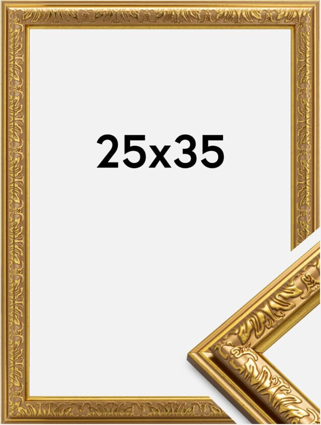 Ramme Nostalgia Akrylglass Gull 25x35 Cm