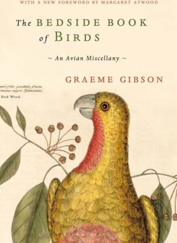 The Bedside Book of Birds av Graeme Gibson