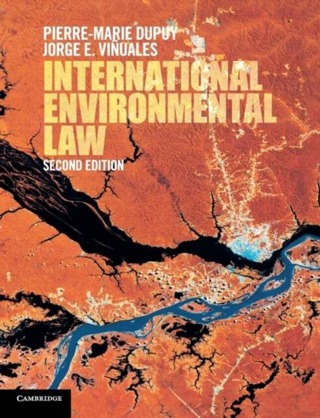 International Environmental Law av Pierre-Marie Dupuy, Jorge E. (University of Cambridge) Vinuales