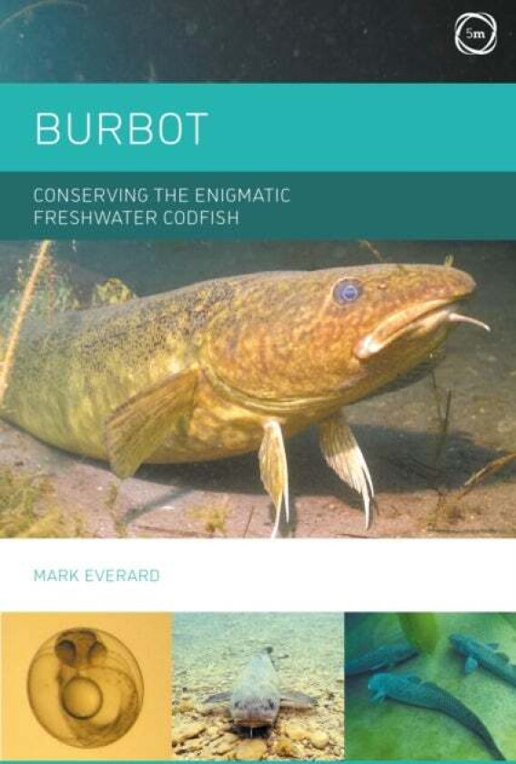 Burbot: Conserving the Enigmatic Freshwater Codfish av Mark Everard