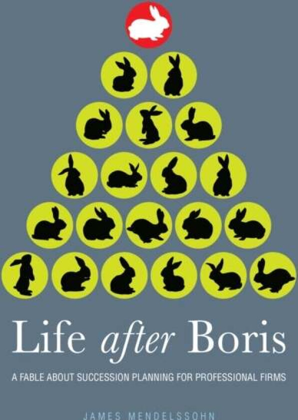 Life after Boris av James Mendelssohn