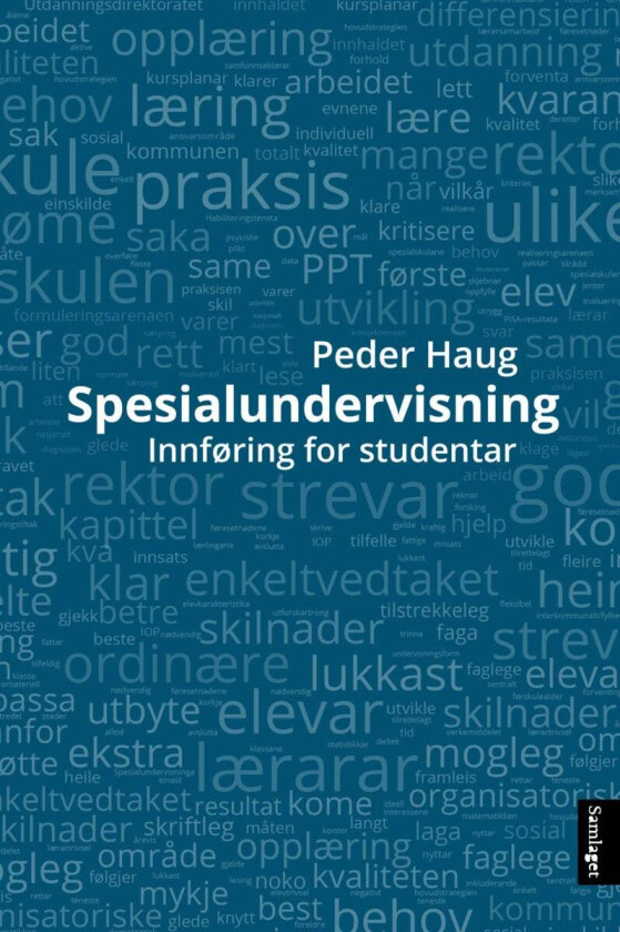 Spesialundervisning av Peder Haug
