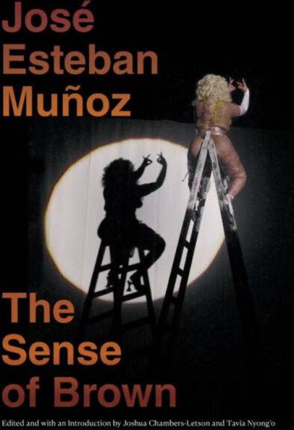 The Sense of Brown av Jose Esteban Munoz