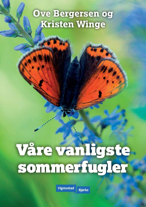 Våre vanligste sommerfugler av Ove Bergersen, Kirsten Winge