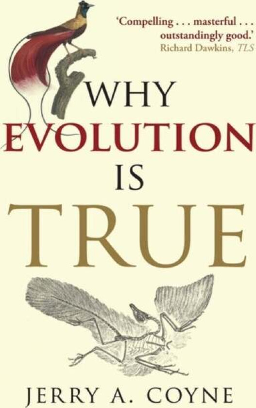 Why Evolution is True av Jerry A. (Professor of Ecology & Evolution University of Chicago) Coyne
