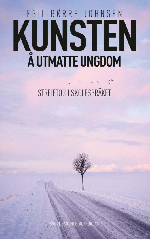 Kunsten å utmatte ungdom av Egil Børre Johnsen