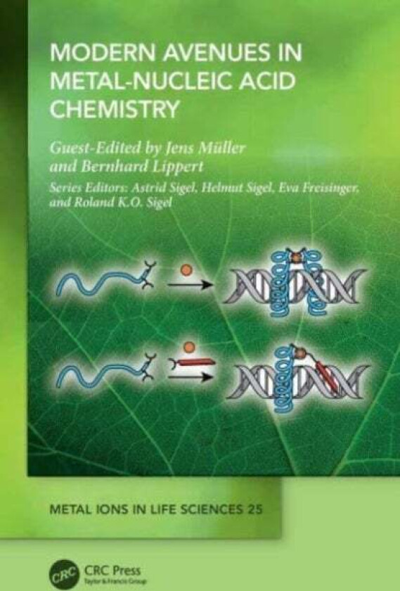 Modern Avenues in Metal-Nucleic Acid Chemistry