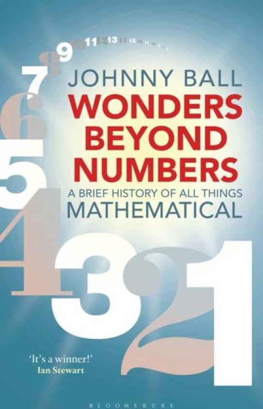 Wonders Beyond Numbers av Johnny Ball