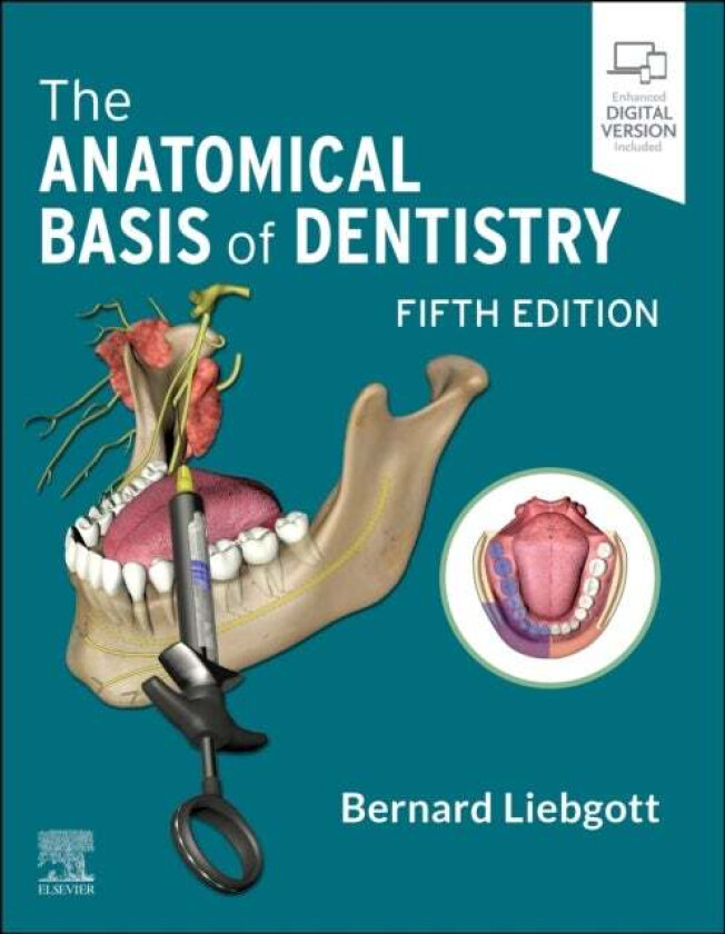 The Anatomical Basis of Dentistry av Bernard (Professor Emeritus Department of Surgery Division of Anatomy Faculty of Medicine Faculty of Dentistry Un
