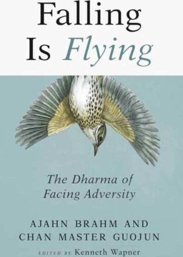 Falling is Flying av Ajahn Brahm, Guojun Master