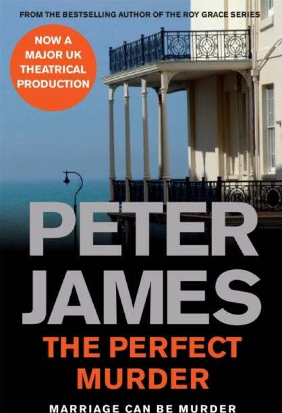 The Perfect Murder av Peter James