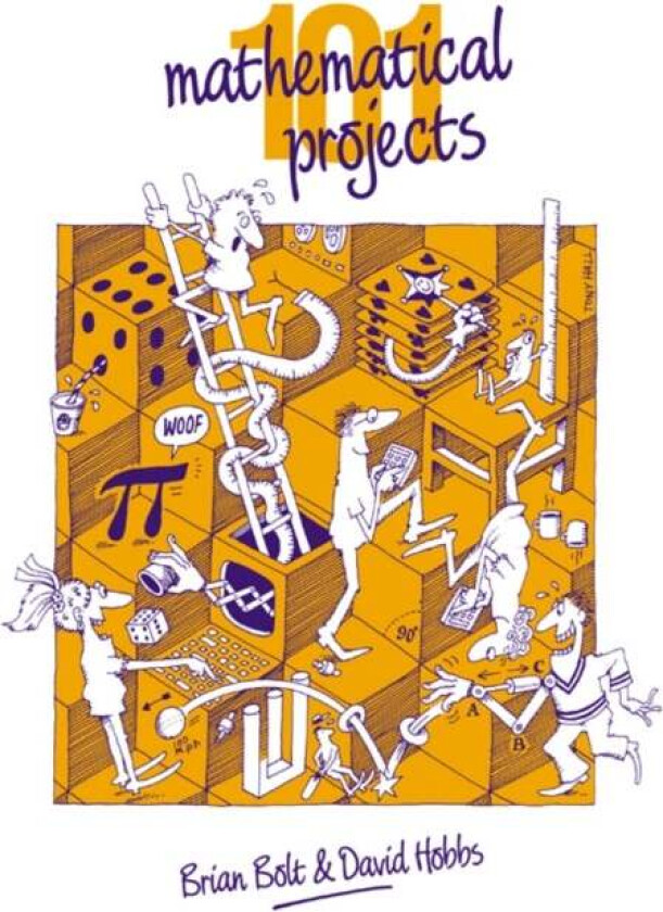 101 Mathematical Projects av Brian Bolt, David Hobbs