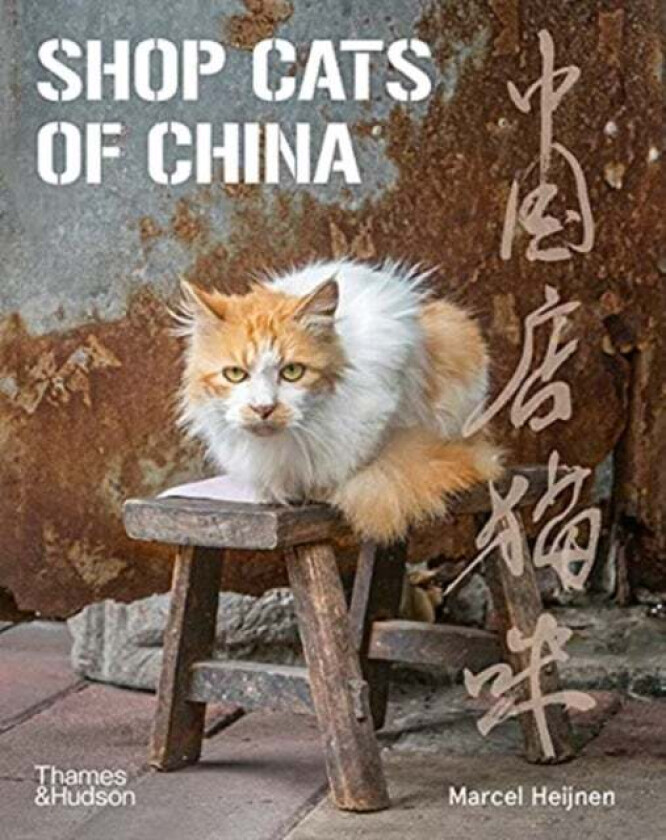 Shop Cats of China av Marcel Heijnen