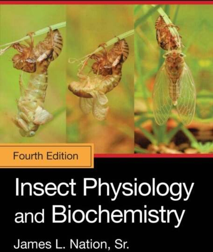 Insect Physiology and Biochemistry av Sr. James L. (University of Florida Gainesville USA) Nation